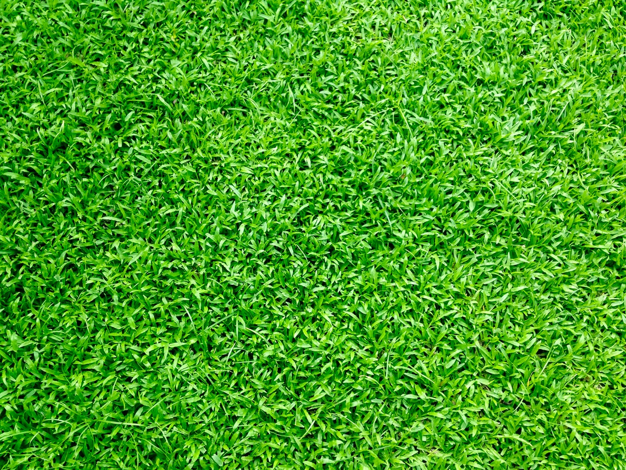 5 Reasons to get Artificial Grass