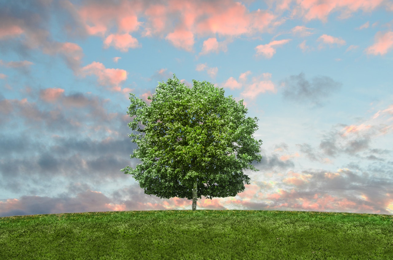 How does Artificial Grass impact the environment