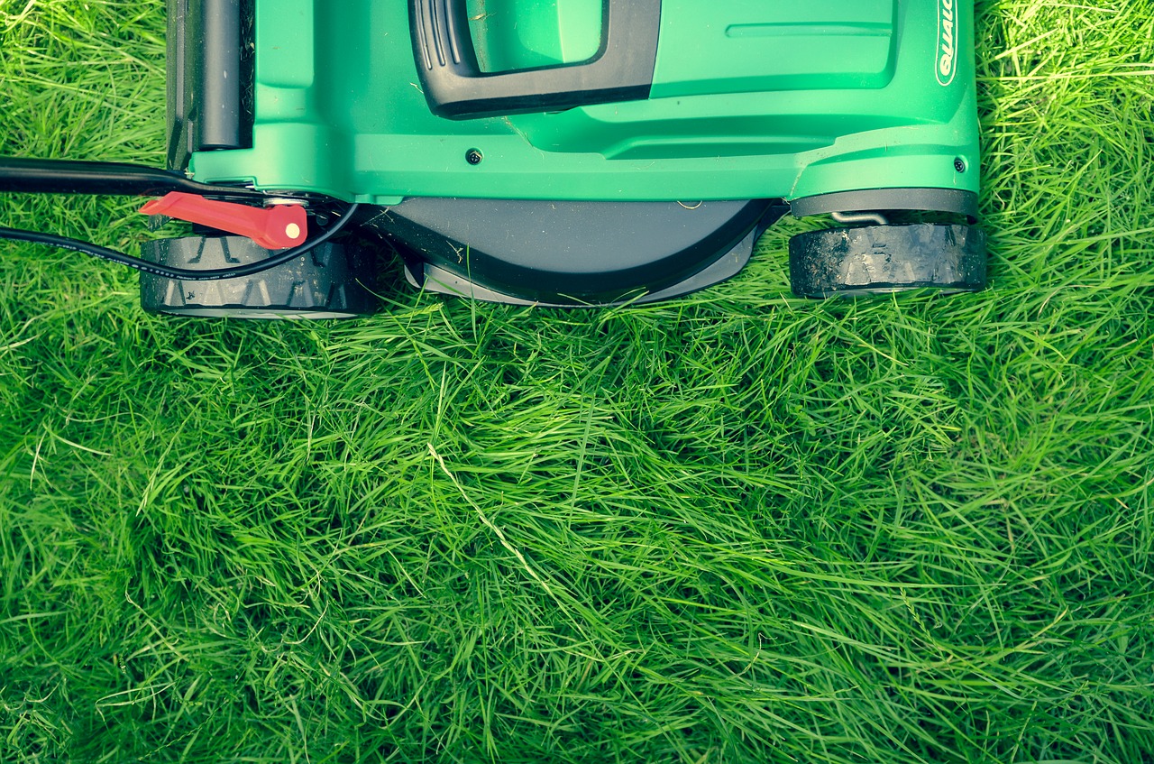 Why Artificial Grass is a Time and Money Saver